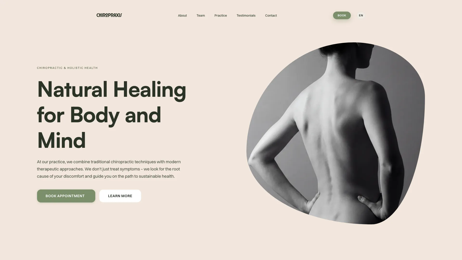 ChiroPraxis demo preview